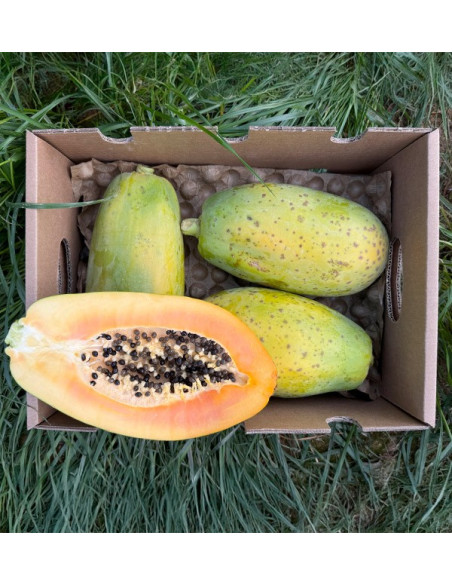 Acheter des Papayes en Ligne | Découvrez la Saveur Exotique et les Bienfaits pour la Santé