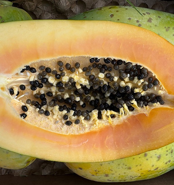 Buy Papayas Online | Discover the Exotic Flavor and Health Benefits