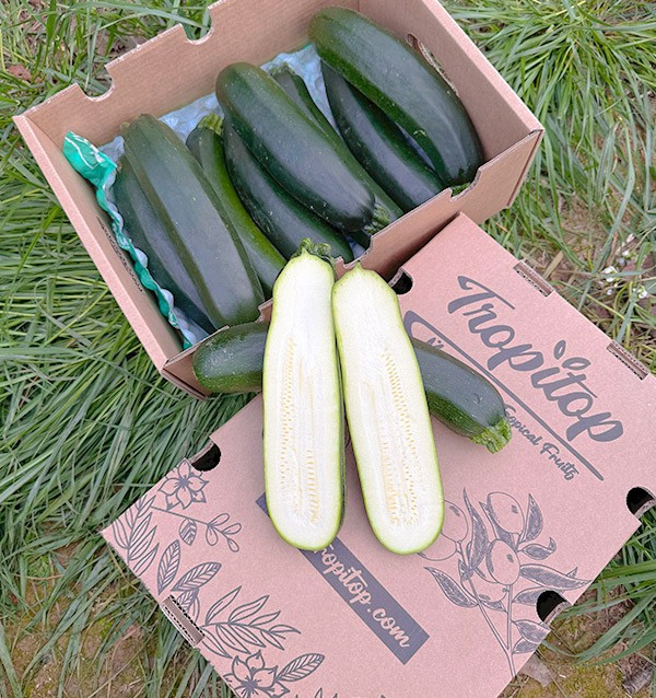 Acheter Courgette Verte ou Noire en Ligne sur Tropitop