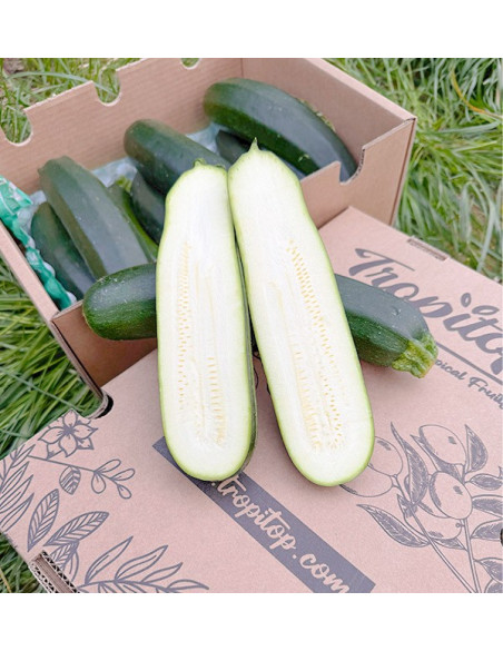Acheter Courgette Verte ou Noire en Ligne sur Tropitop