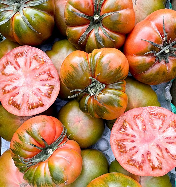 Tomaten Raf online bei Tropitop kaufen