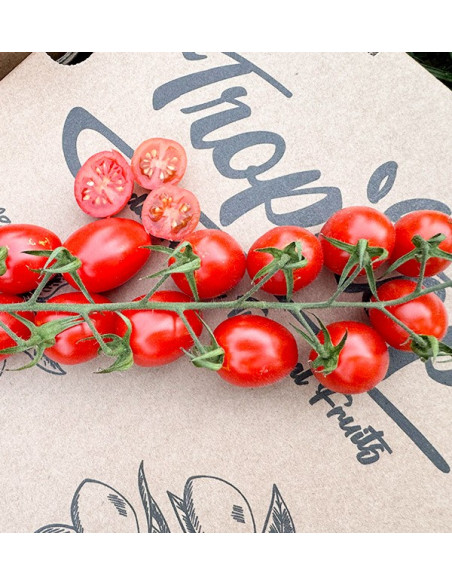 Buy Cherry Tomatoes on the Vine Online