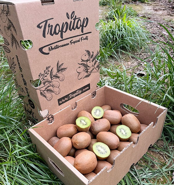 Acheter Kiwi Vert en ligne chez Tropitop