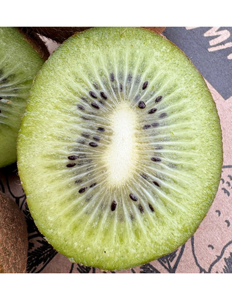 Acheter Kiwi Vert en ligne chez Tropitop