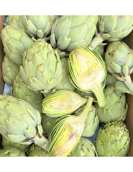Buy Valencian Artichokes Online at Tropitop