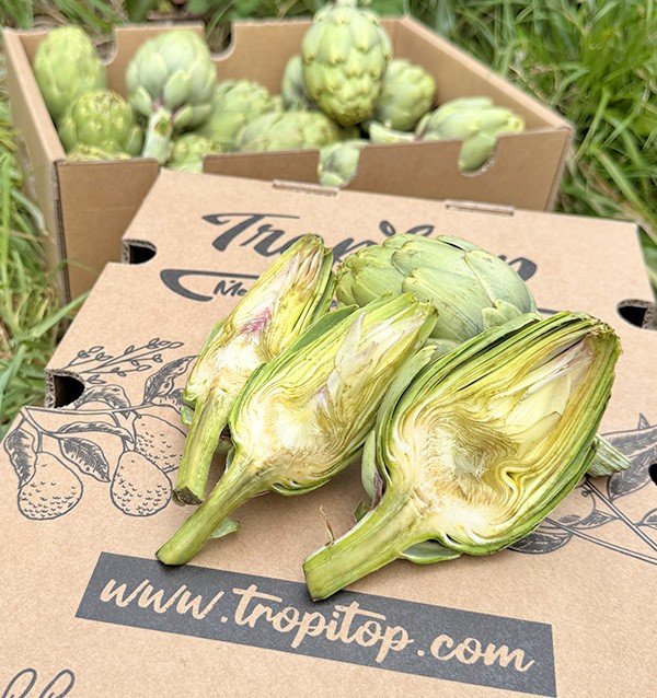 Buy Valencian Artichokes Online at Tropitop