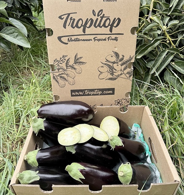 Acheter Aubergine Noire En Ligne chez Tropitop