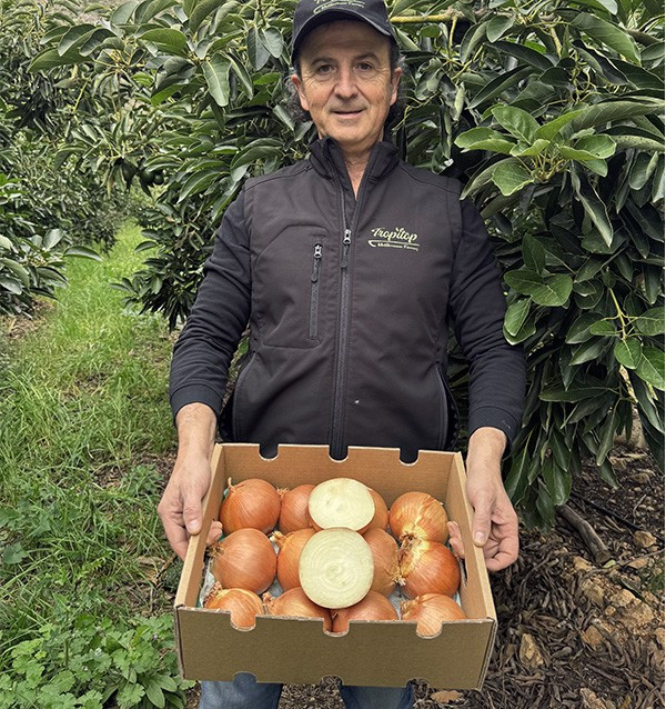 Acquistare Cipolle Secche Bianche Online su Tropitop