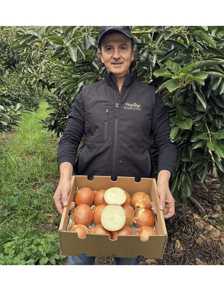 Comprar Cebolas Secas Brancas Online na Tropitop