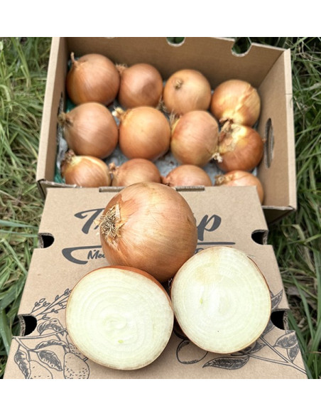 Comprar Cebollas Secas Blancas Online en Tropitop