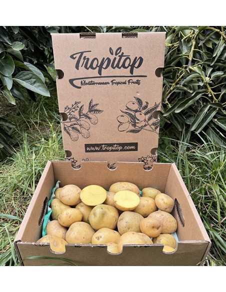 Acheter des Pommes de Terre Blanches Nouvelles en Ligne sur Tropitop
