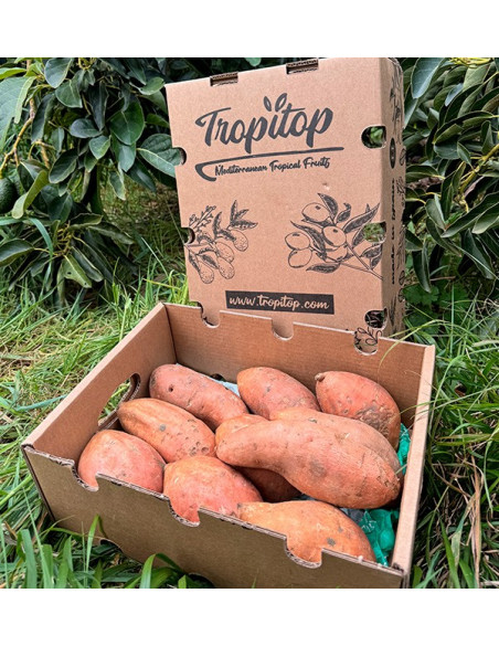 Comprar Batata Online na Tropitop