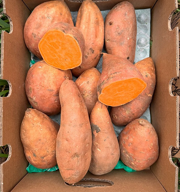 Buy Sweet Potatoes Online at Tropitop 2