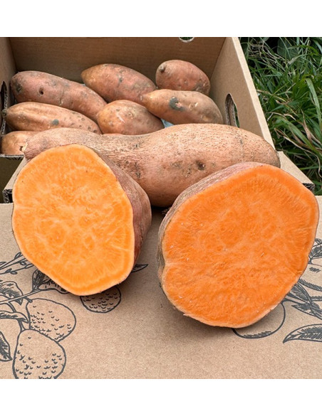 Acheter des Patates Douces en ligne sur Tropitop