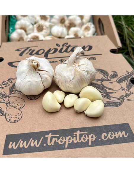 Kaufen Sie weißen Knoblauch online bei Tropitop