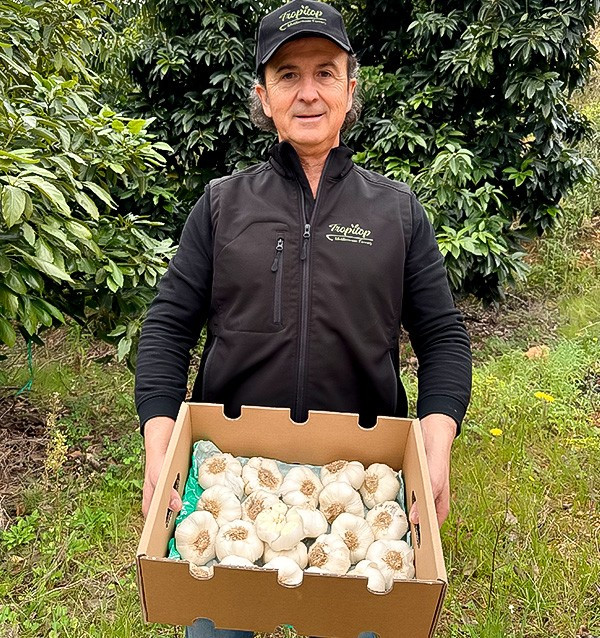 Comprar Ajo Blanco Online en Tropitop