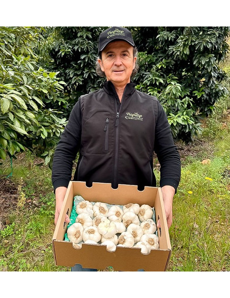 Comprar Alho Branco Online na Tropitop