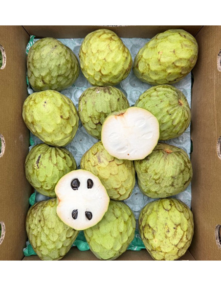 Buy Cherimoya Online at Tropitop