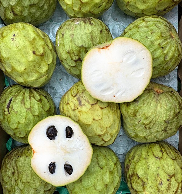 Buy Cherimoya Online at Tropitop 2