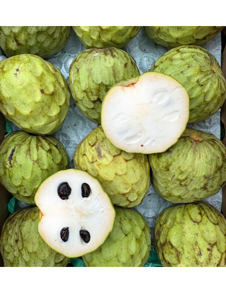 Buy Cherimoya Online at Tropitop