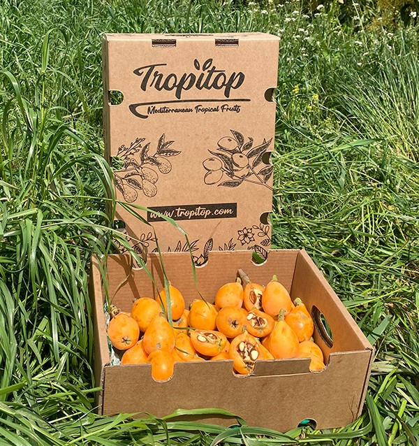 Acquista nespole online su Tropitop