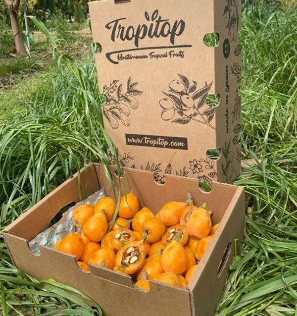 Acquista nespole online su Tropitop