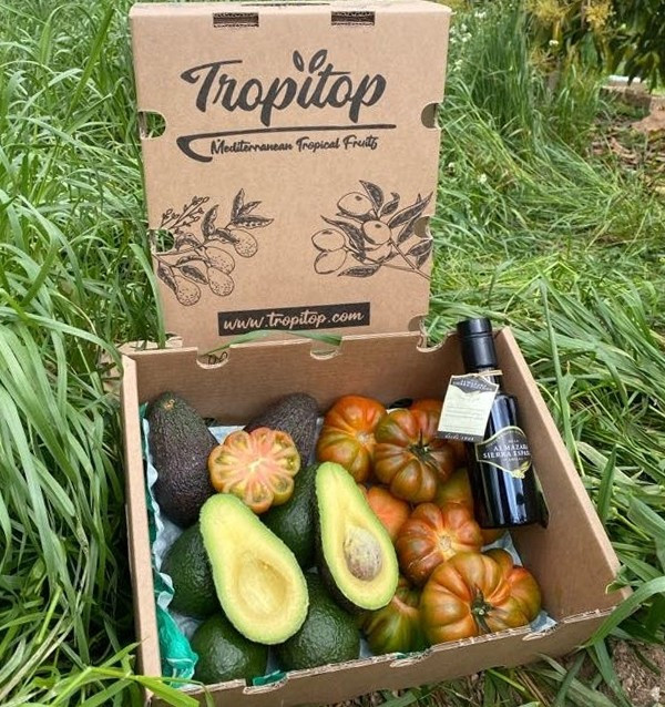 Pack con Aguacates, Tomates Raf y Aceite de Oliva