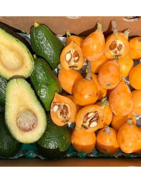 Comprar Nísperos y Aguacates Hass Online en Tropitop