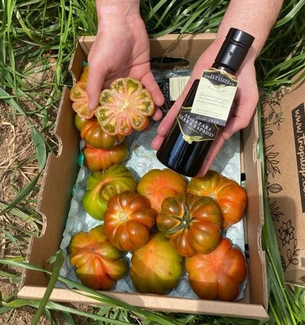 Acquista pack di pomodori raf e olio d'oliva