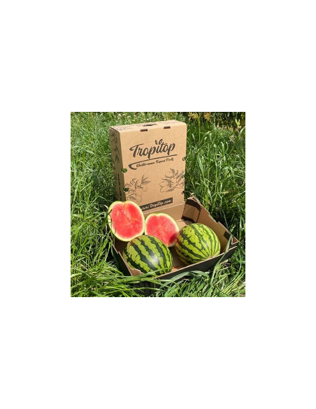 Gestreifte Wassermelone online kaufen bei Tropitop