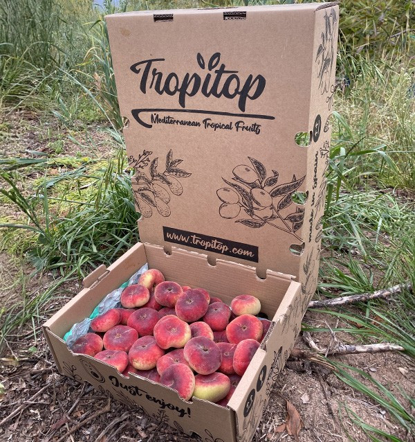 Acquista Pesche Piatte Online | Frutta Estiva Fresca