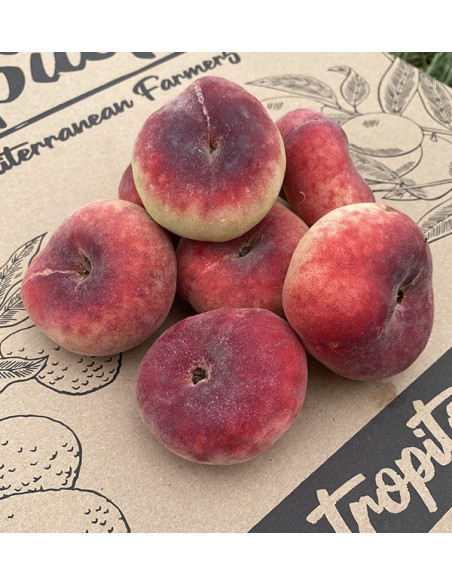 Comprar Paraguayos Online en Tropitop | Fruta de Verano