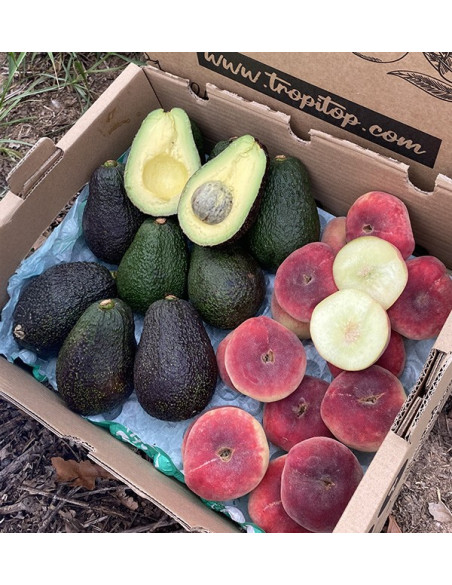 Buy Hass Avocados and Flat Peaches Online | Tropitop