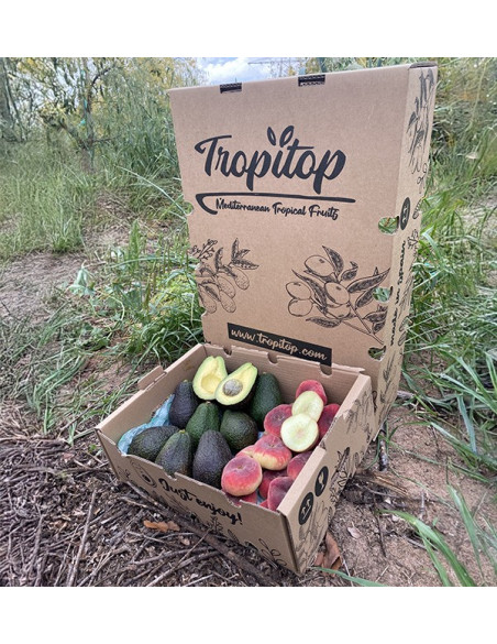 Acquista Avocado Hass e Pesche Piatte Online | Tropitop