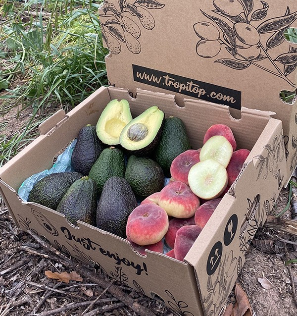 Acquista Avocado Hass e Pesche Piatte Online | Tropitop