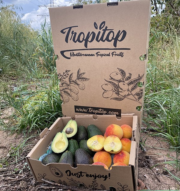 Comprar Abacates Hass e Pêssegos Amarelos Online | Tropitop