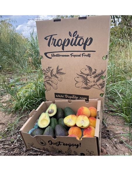 Comprar Aguacates Hass y Melocotón Amarillo Online en Tropitop