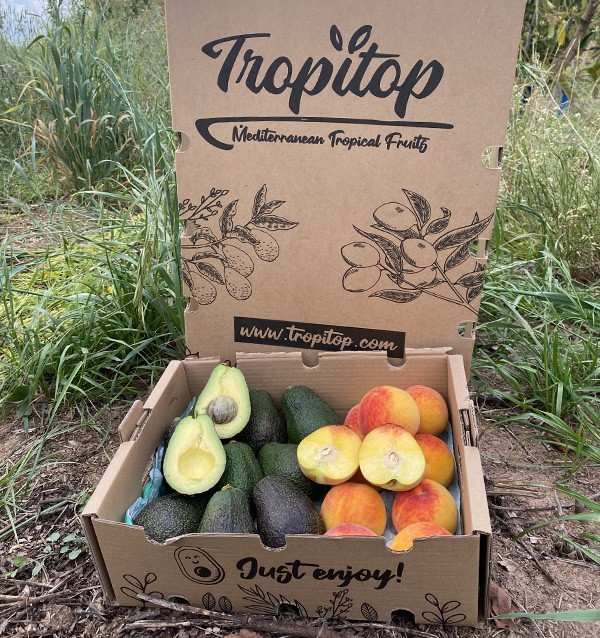 Buy Hass Avocados and Yellow Peaches Online | Tropitop