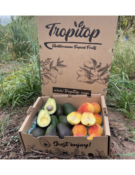 Comprar Aguacates Hass y Melocotón Amarillo Online en Tropitop