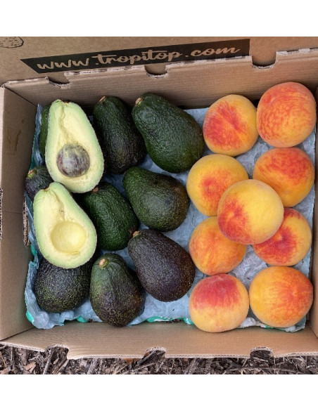Comprar Aguacates Hass y Melocotón Amarillo Online en Tropitop