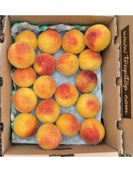 Buy Yellow Peaches Online | Seasonal Fruit Direct from the Farmer
