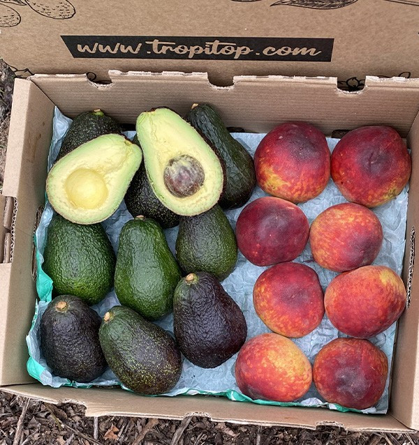 Comprar Aguacates Hass y Melocotón Rojo Online en Tropitop