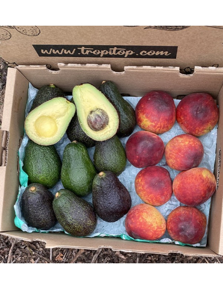 Buy Hass Avocados and Red Peaches Online | Tropitop