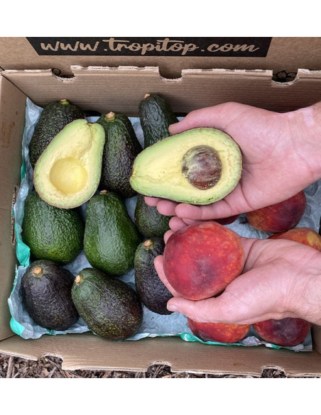 Buy Hass Avocados and Red Peaches Online | Tropitop