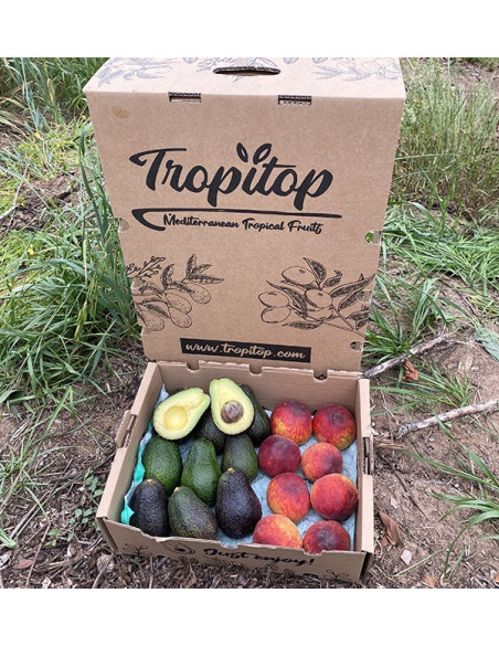 Buy Hass Avocados and Red Peaches Online | Tropitop