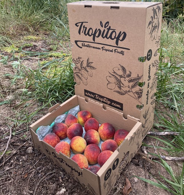 Buy Red Peaches Online | Seasonal Fruit Direct from the Farmer