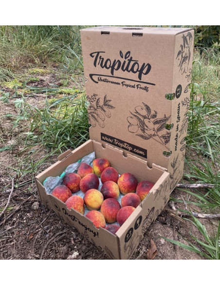 Acheter Pêches Rouges en Ligne | Fruits de Saison Direct Producteur