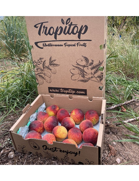 Acheter Pêches Rouges en Ligne | Fruits de Saison Direct Producteur