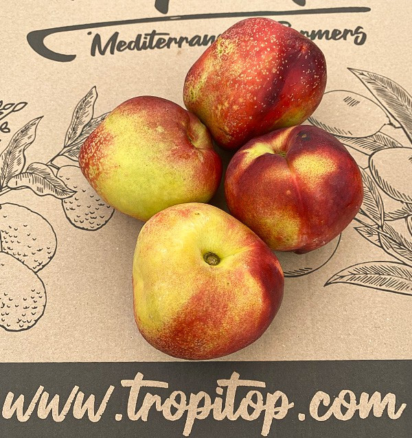 Acheter des Nectarines en Ligne | Fruits d'Été Direct Producteur