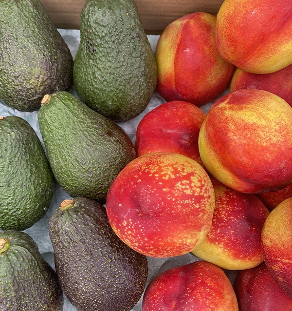 Acheter Avocats Hass et Nectarines en Ligne | Tropitop